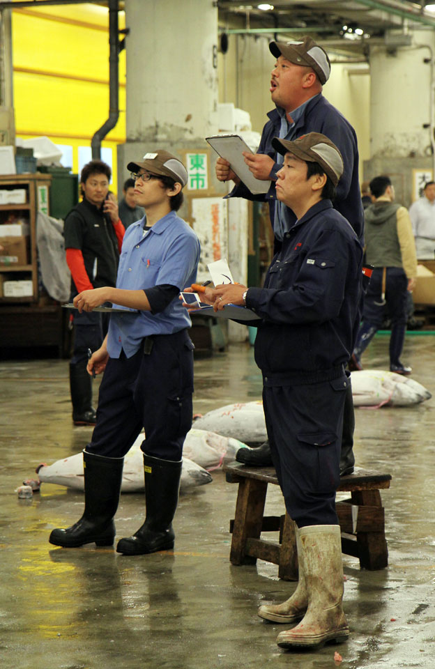 Tsukiji Fischmarkt |  Thunfischversteigerung-Der Marktschreier umzingelt von Käufer