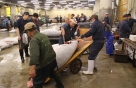 Tsukiji Fischmarkt | Bereitstellung der Thunfische für den Abtransportieren