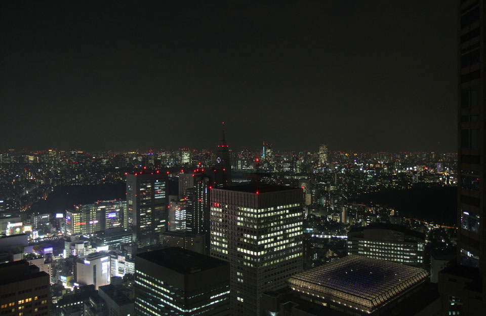 Gouverment-Building | Tokyo bei Nacht